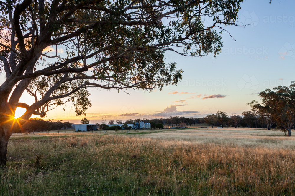 grassy farm paddock with machinery shed and silos at sunset - Australian Stock Image