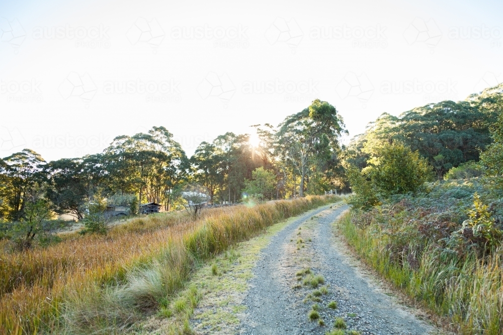 Gravel driveway onto property in forested hill country - Australian Stock Image