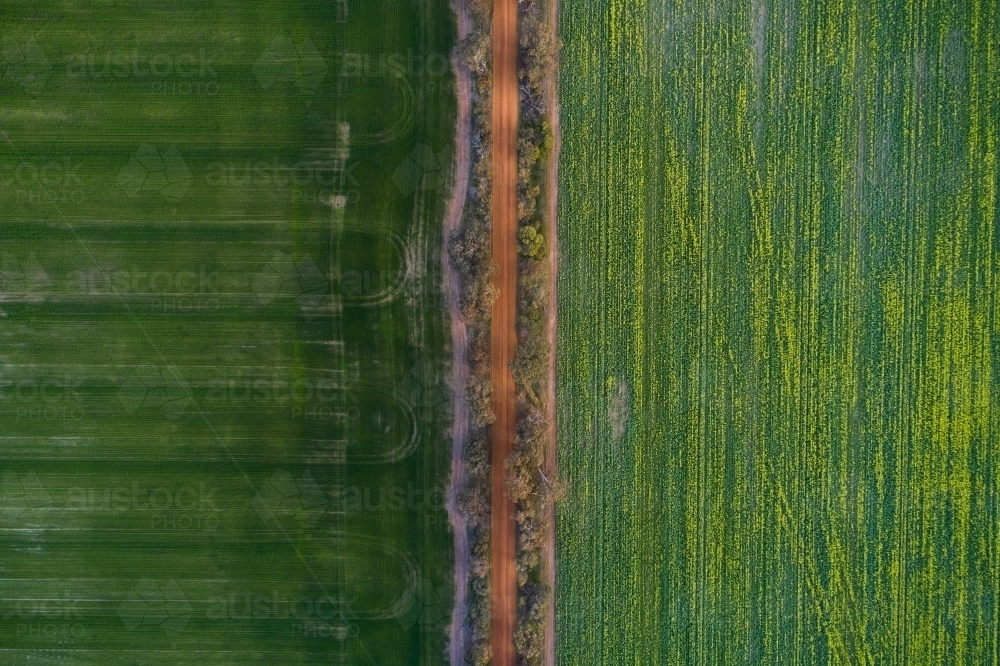 Gravel road between two cropped paddocks on a farm. - Australian Stock Image