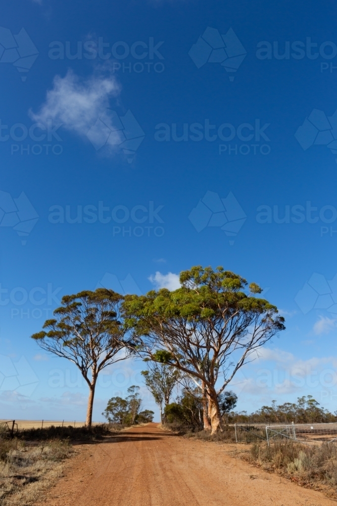 Gravel road in rural Western Australia - Australian Stock Image
