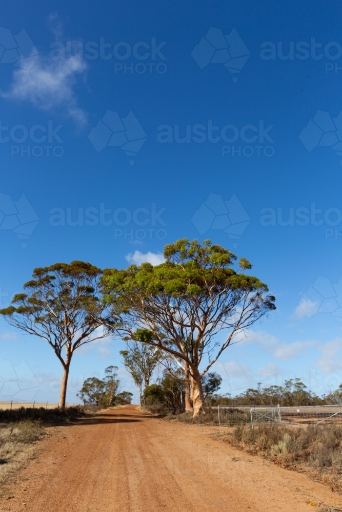 Gravel road in rural Western Australia - Australian Stock Image