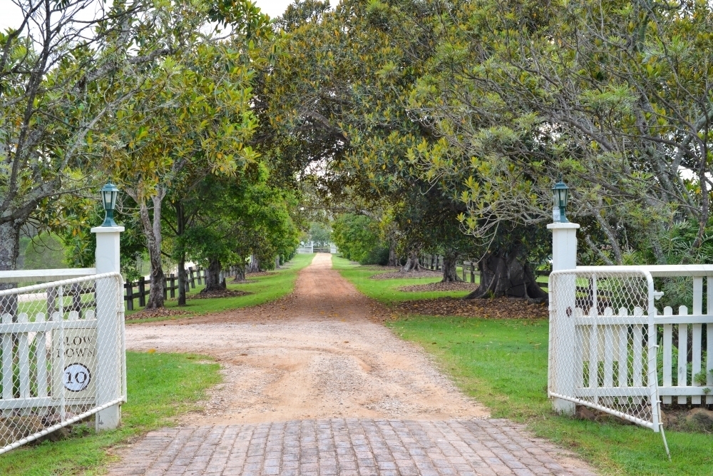 Gravel road lined with native trees through a white picket fence - Australian Stock Image