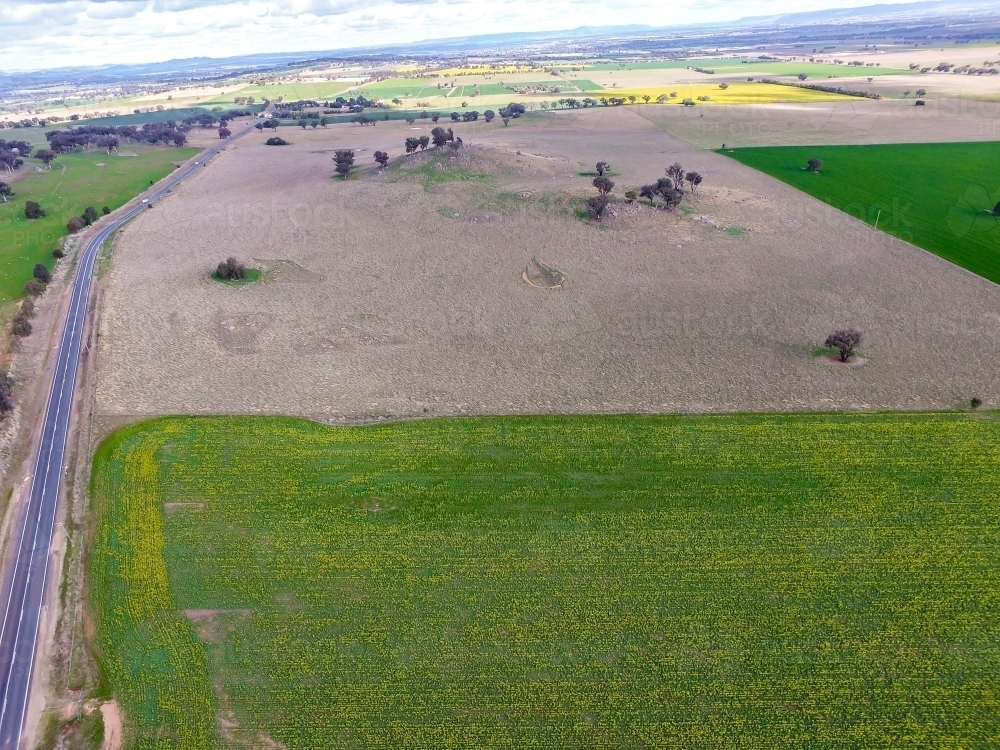 Green and brown crop fields - Australian Stock Image