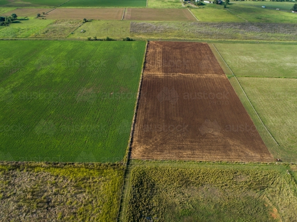 green and brown farm paddocks patchwork across the land on sunlit summer day - Australian Stock Image