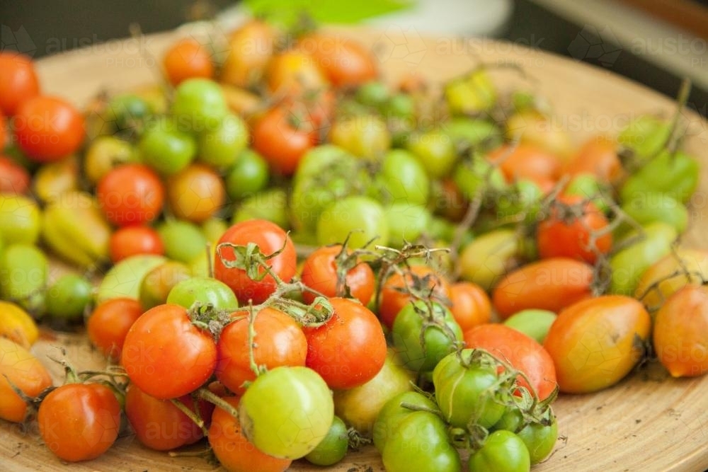 Green and red cherry tomatoes in a bowl - Australian Stock Image