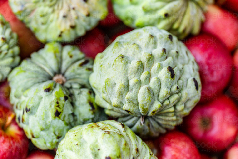 Green custard apple fruit in box full of red apples - Australian Stock Image