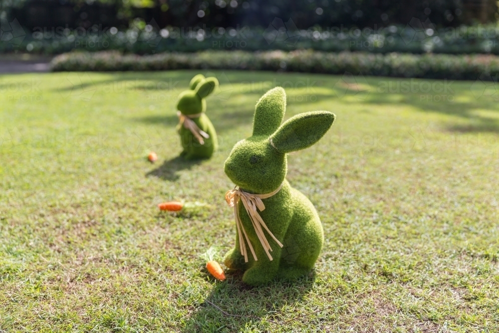 Green Easter bunnies with carrots on lawn - Australian Stock Image
