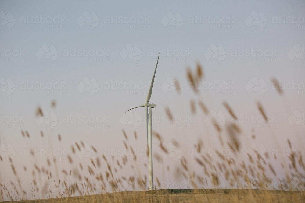 Green energy wind turbine in the countryside at dusk - Australian Stock Image