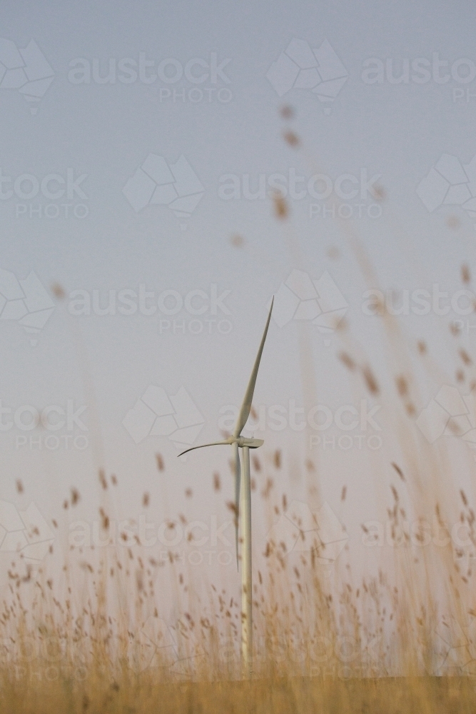 Green energy wind turbine in the countryside at dusk - Australian Stock Image