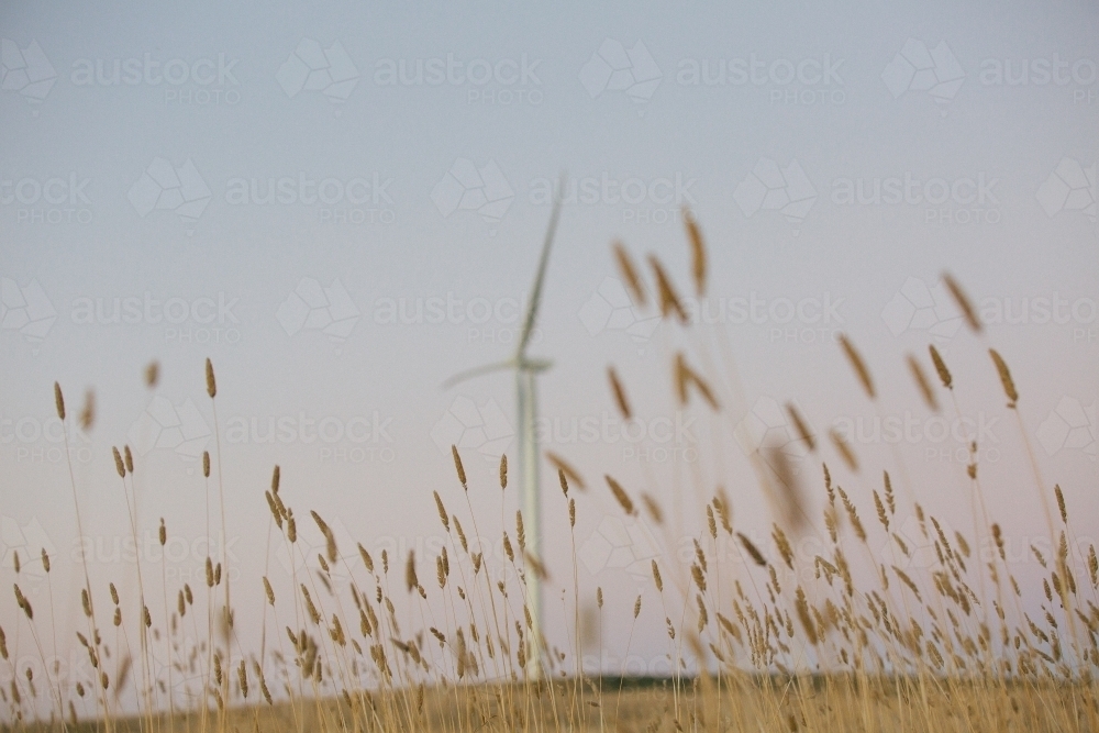 Green energy wind turbine in the countryside at dusk - Australian Stock Image