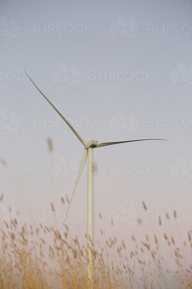 Green energy wind turbine in the countryside at dusk - Australian Stock Image