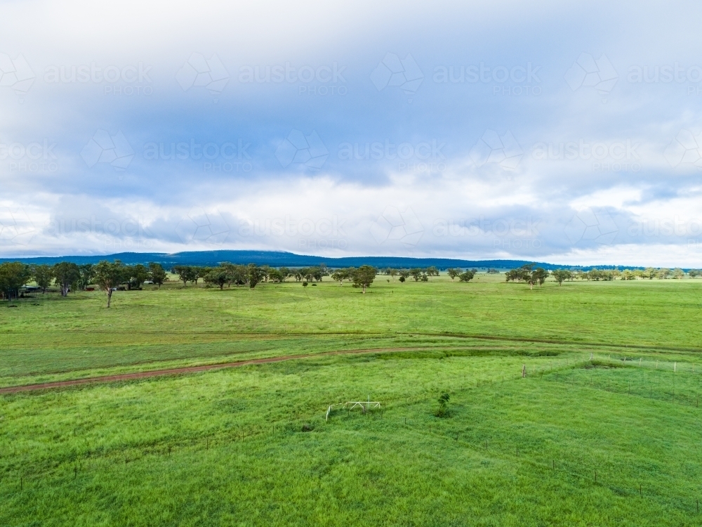 Green farm paddock landscape on overcast day - Australian Stock Image