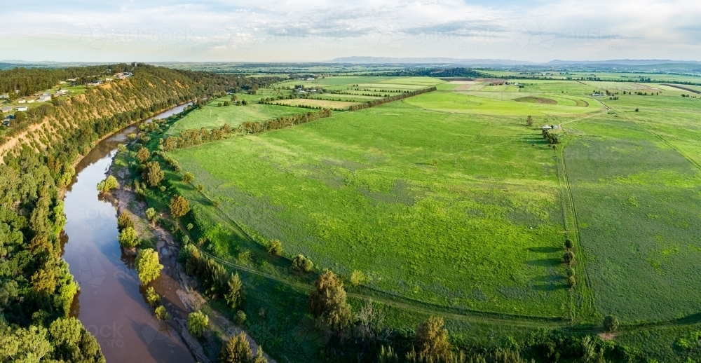 Green farm paddocks of Long Point growing after rain - Australian Stock Image