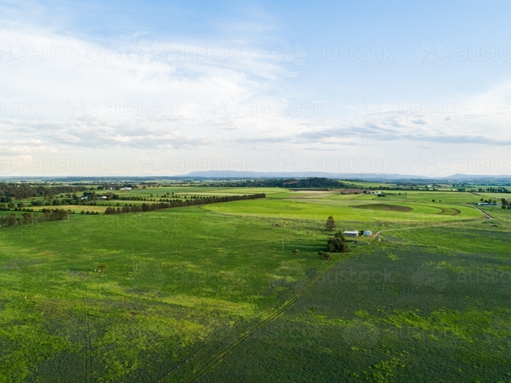 Green farm paddocks of Long Point growing after rain - Australian Stock Image
