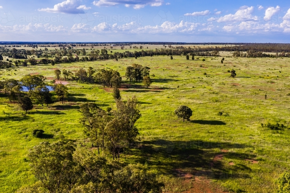 Image of green farmland Austockphoto