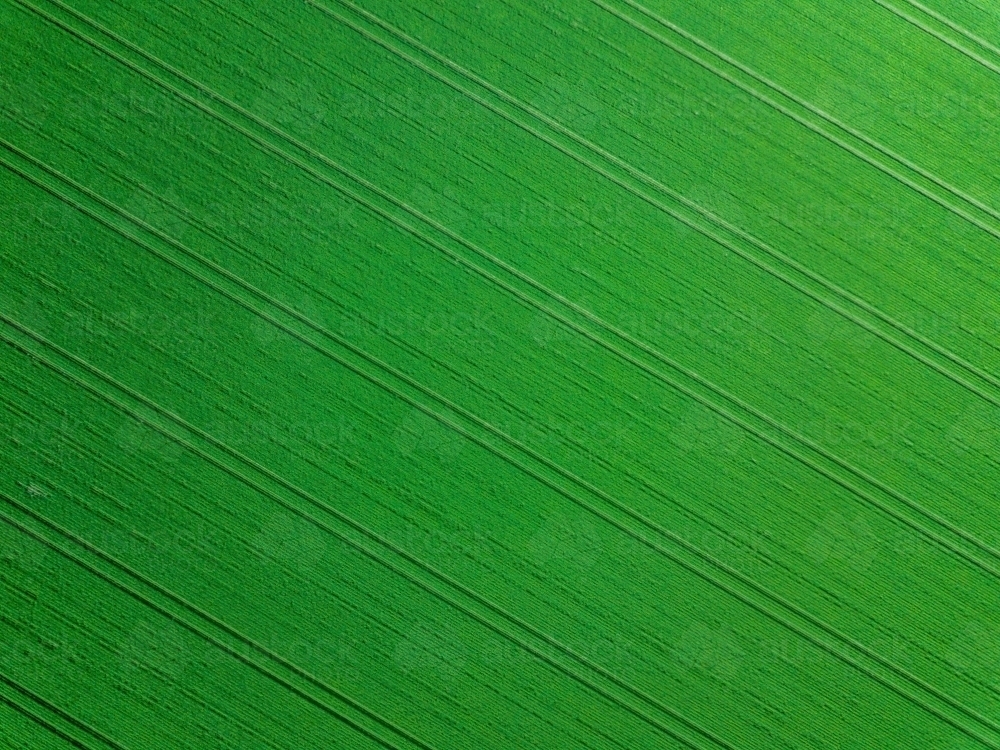 Green field with lines - Australian Stock Image