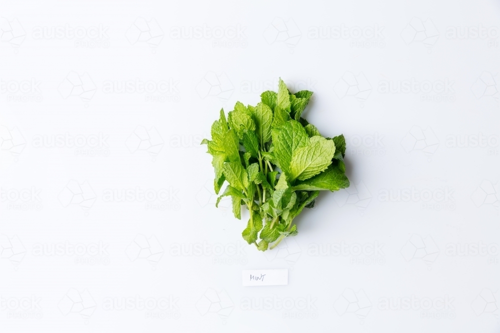 Green herb mint on white with label - Australian Stock Image