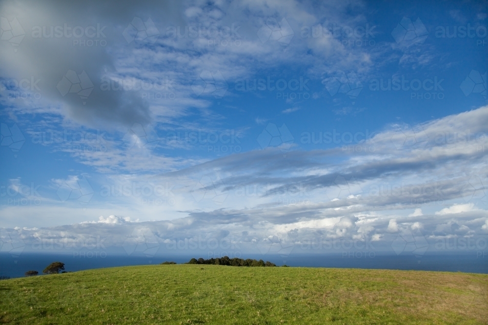 Green hilltop with ocean horizon and big sky - Australian Stock Image