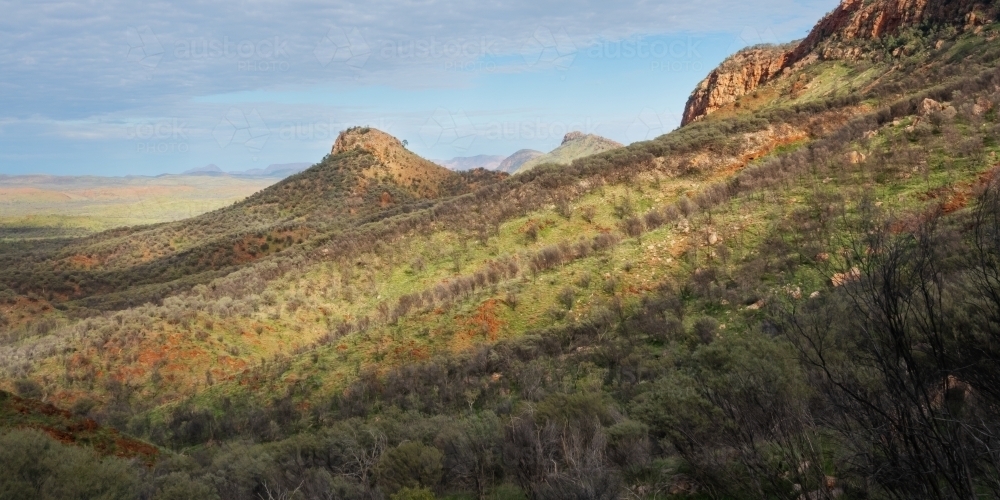 Green in the red centre, view along Larapinta Trail - Australian Stock Image