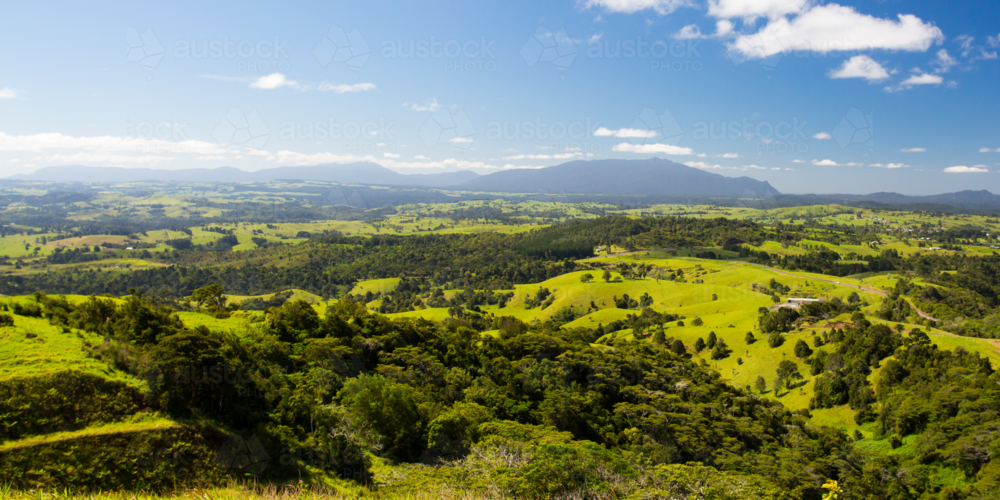 Green landscape near Millaa Millaa over the Atherton Tablelands in Queensland, Australia - Australian Stock Image