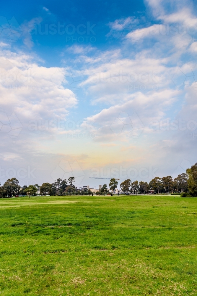 Green lawn and blue sky against city background. - Australian Stock Image