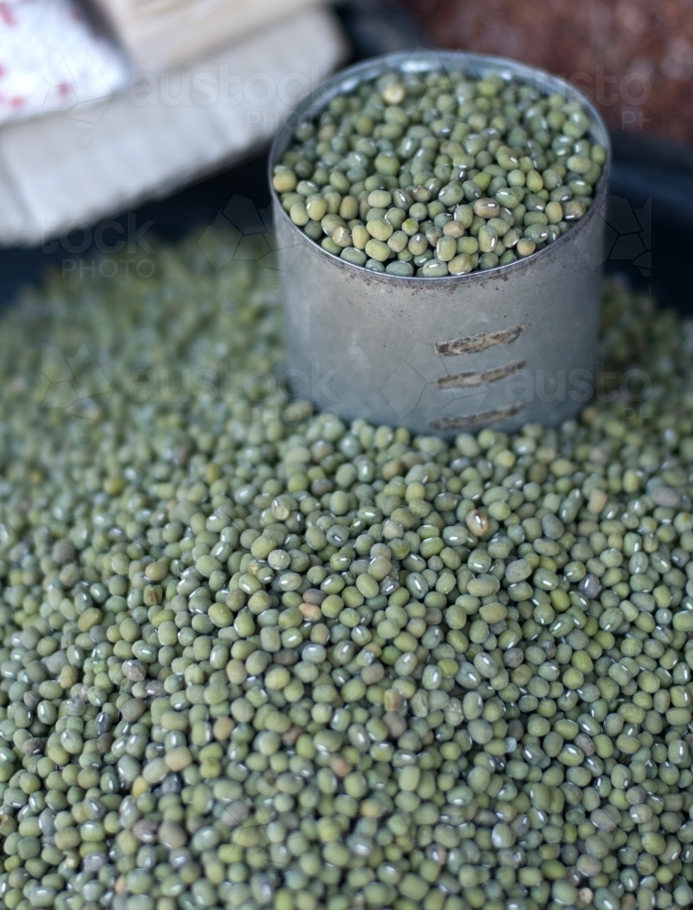 Green Lentils - Australian Stock Image