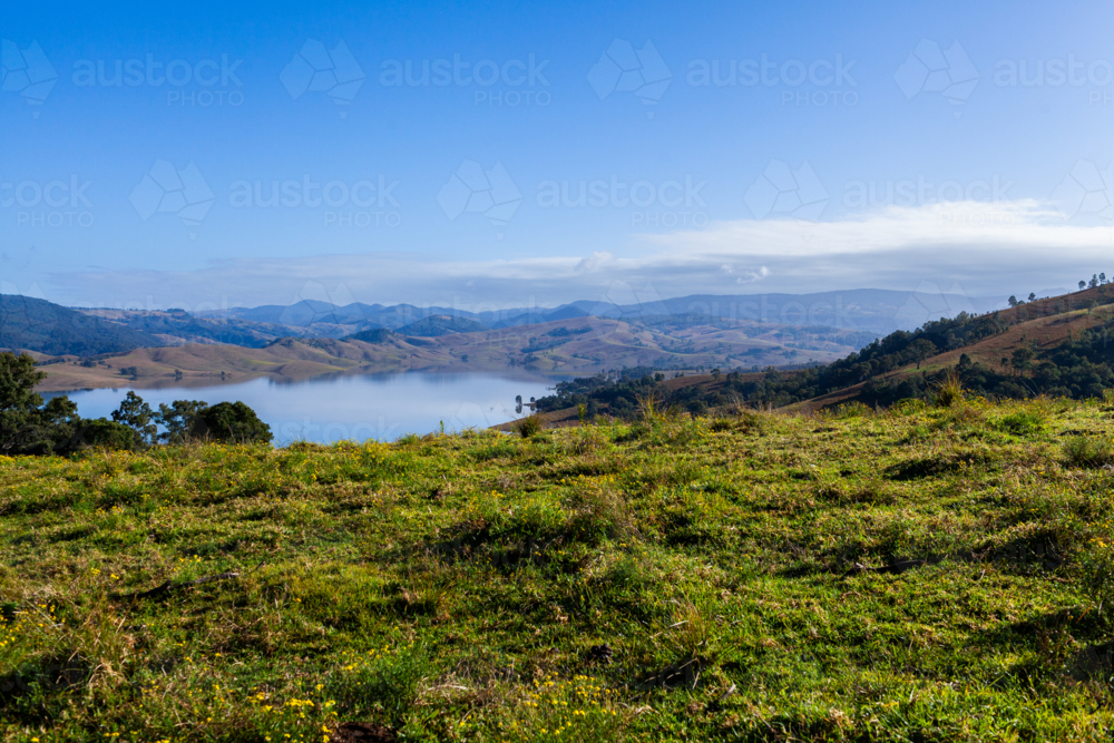 Pretty Paddock Image of Green paddock pasture in foreground with dam and mountain ...