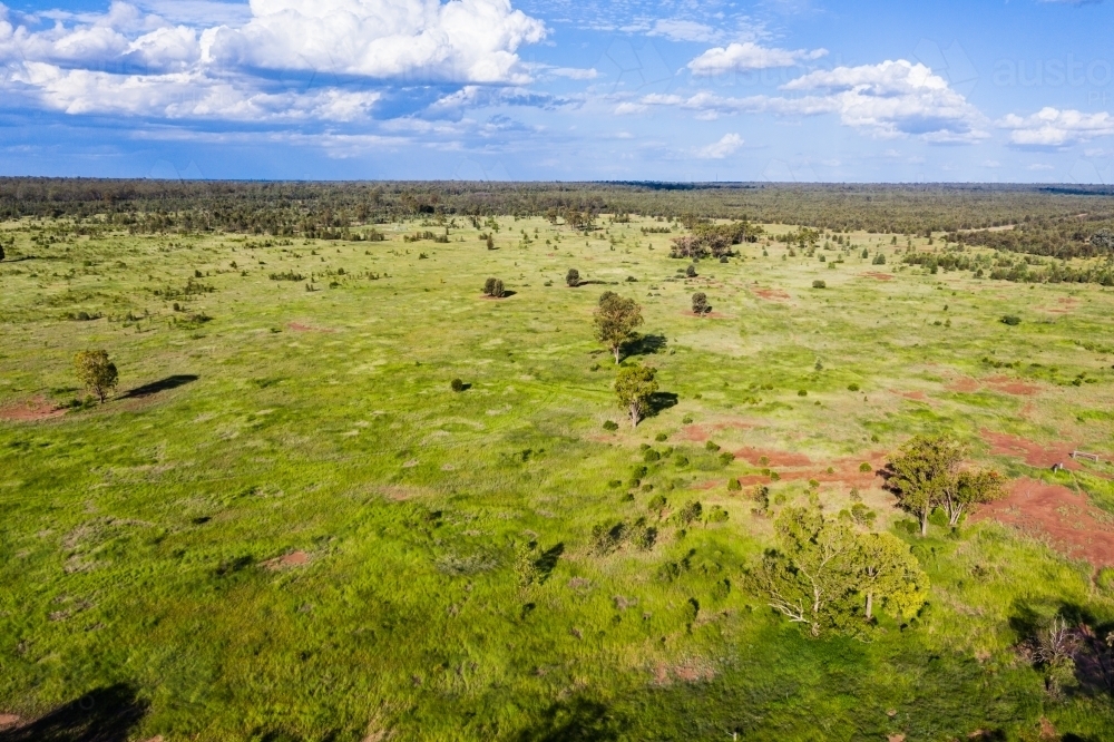 green pasture in rural area - Australian Stock Image