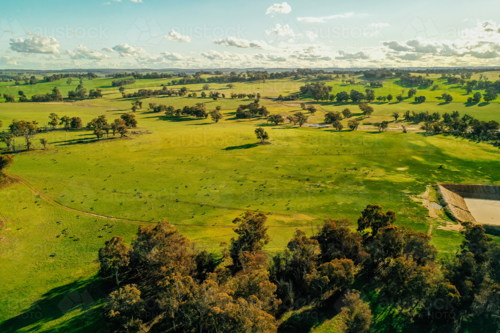 Green pastures on a farm - Australian Stock Image