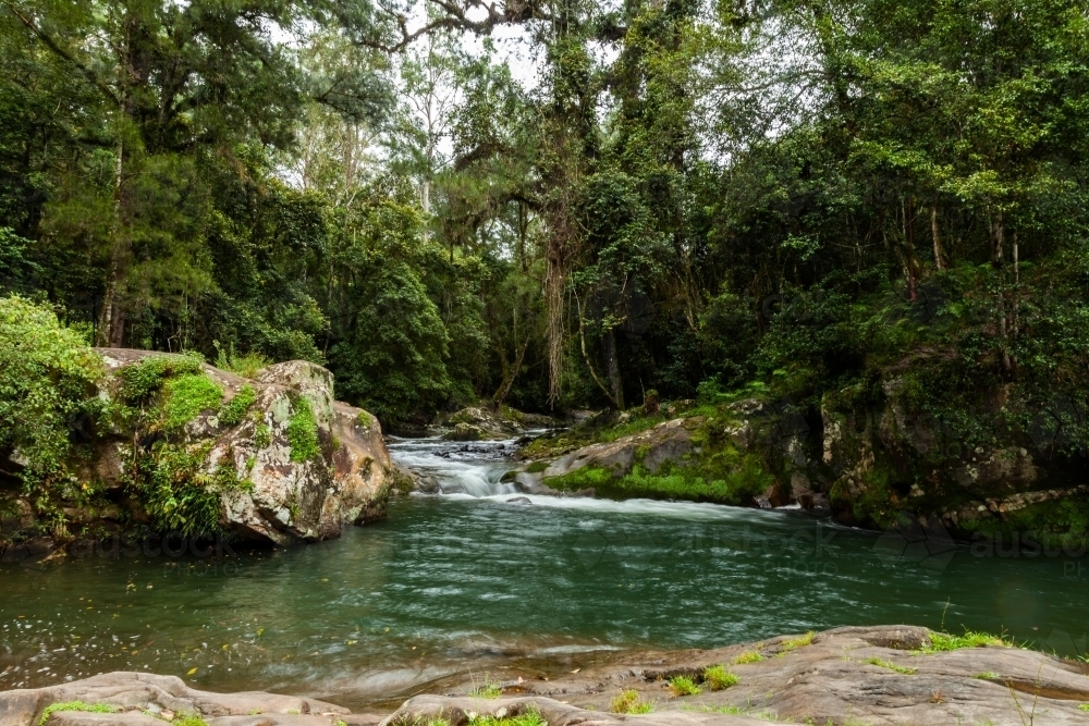 Green rainforest pool on Allyn River NSW Australia - Australian Stock Image