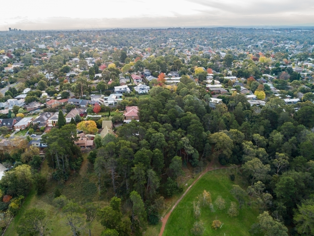 Green recreation park space in city called Campbells Croft Reserve, Vermont - Australian Stock Image