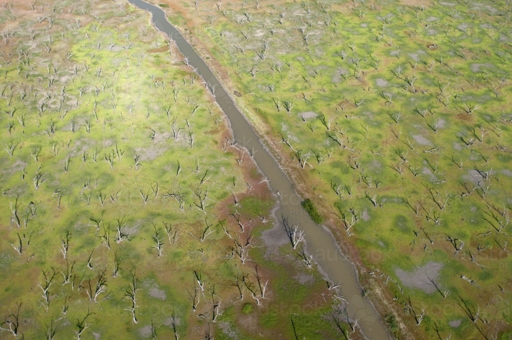 Green Rural Outback Aerial Landscape with River and Dead Trees - Australian Stock Image