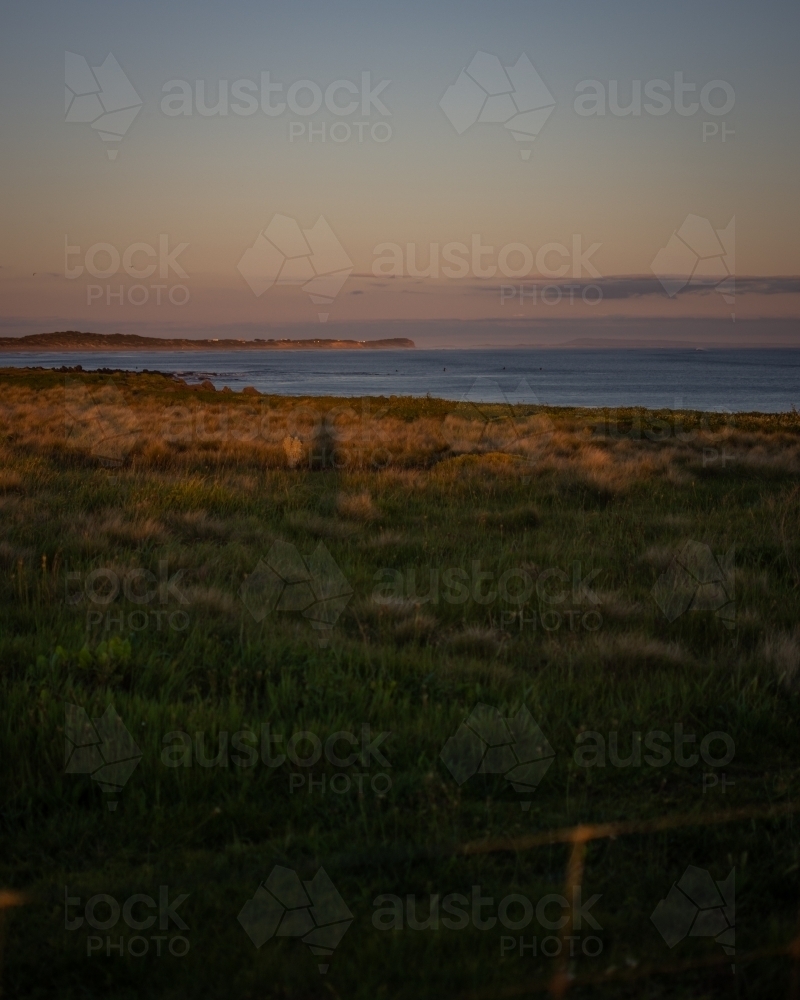 Green Seaside Field at Sunset - Australian Stock Image