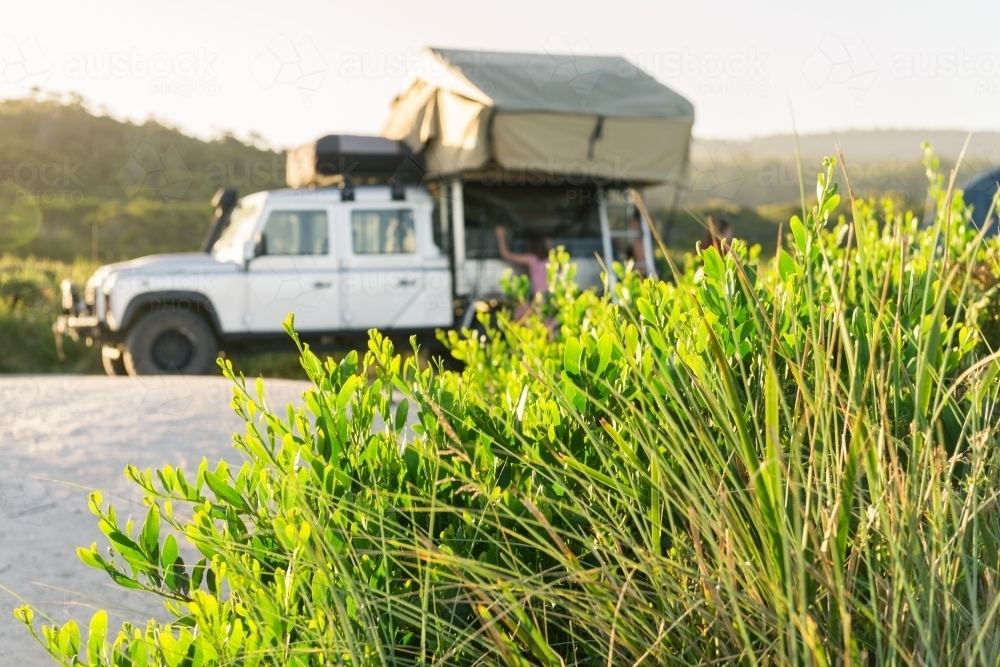 green shrub with blurred camper 4x4 in the background - Australian Stock Image