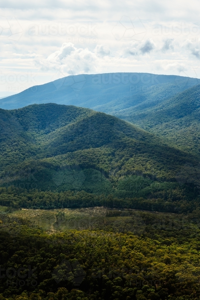 green tree covered mountain range - Australian Stock Image