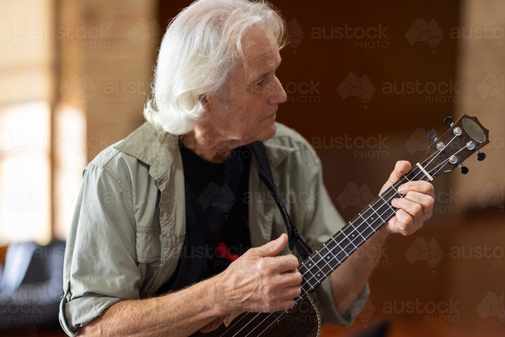 grey haired man strumming a ukulele - Australian Stock Image