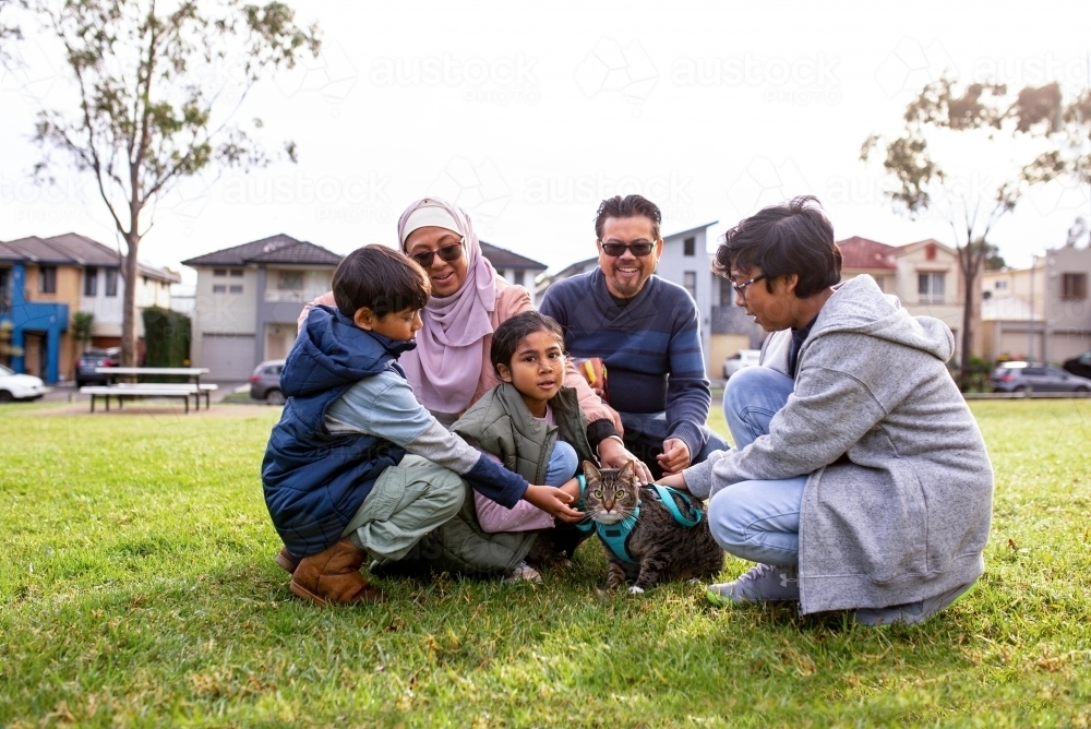 Group of people sitting on a big lawn with a cat in the middle - Australian Stock Image