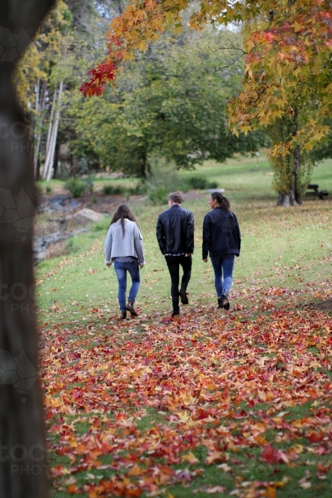 Group of three young friends walking through the park in autumn - Australian Stock Image