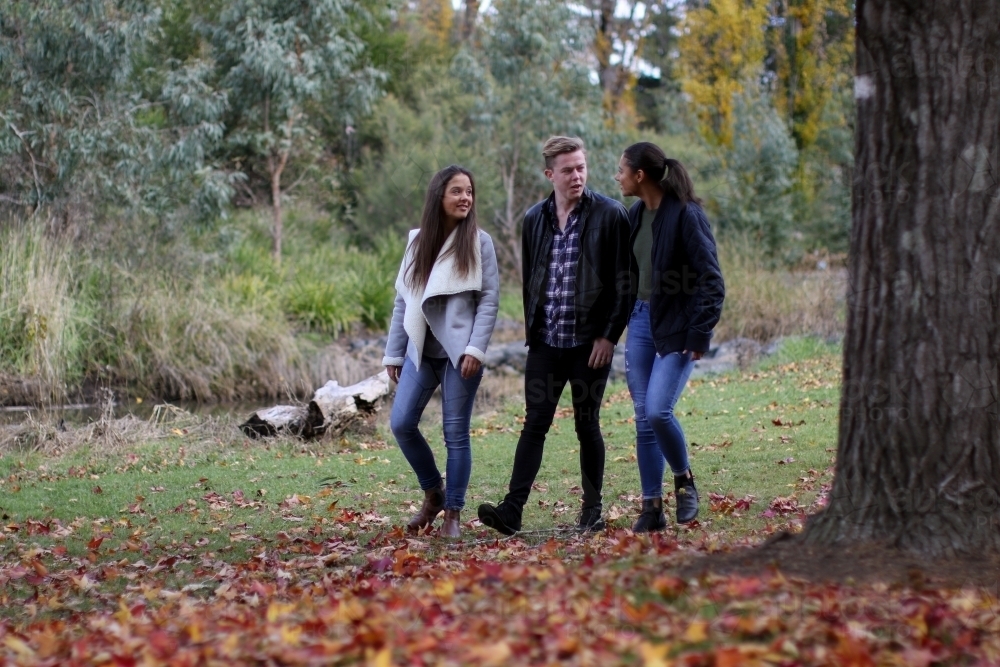 Group of three young friends walking through the park in autumn - Australian Stock Image