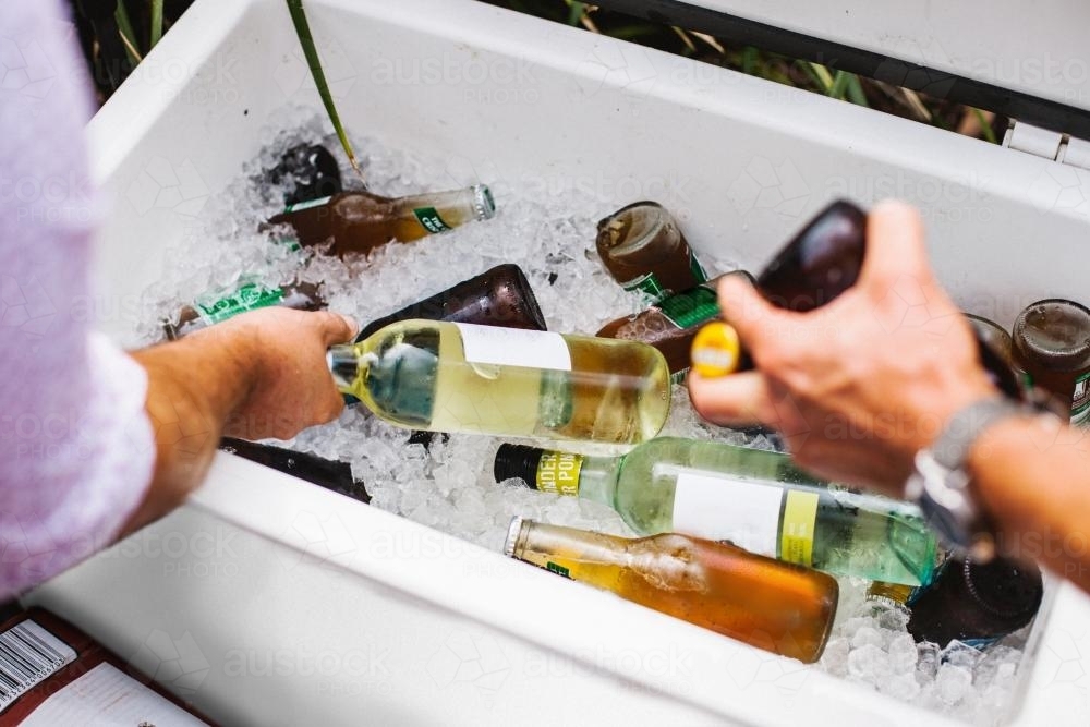 Guest getting alcohol from an esky - Australian Stock Image