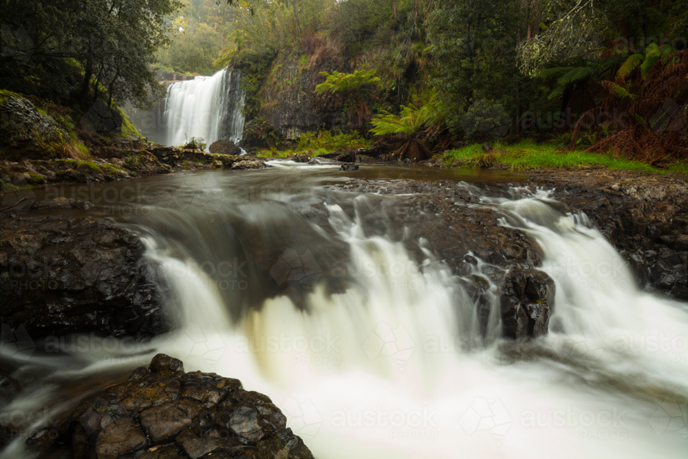 Guide Falls - Tasmania - Australian Stock Image