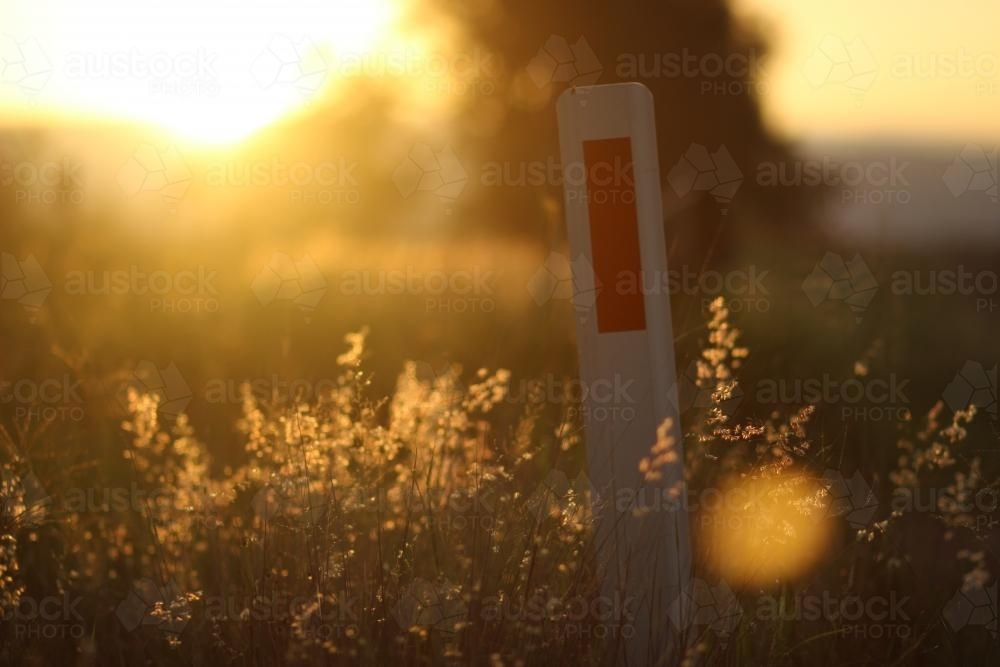 Guide post beside a road in the late afternoon - Australian Stock Image