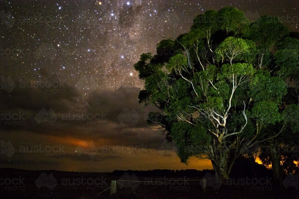 Gum tree in front of stars rising above clouds horizontal - Australian Stock Image