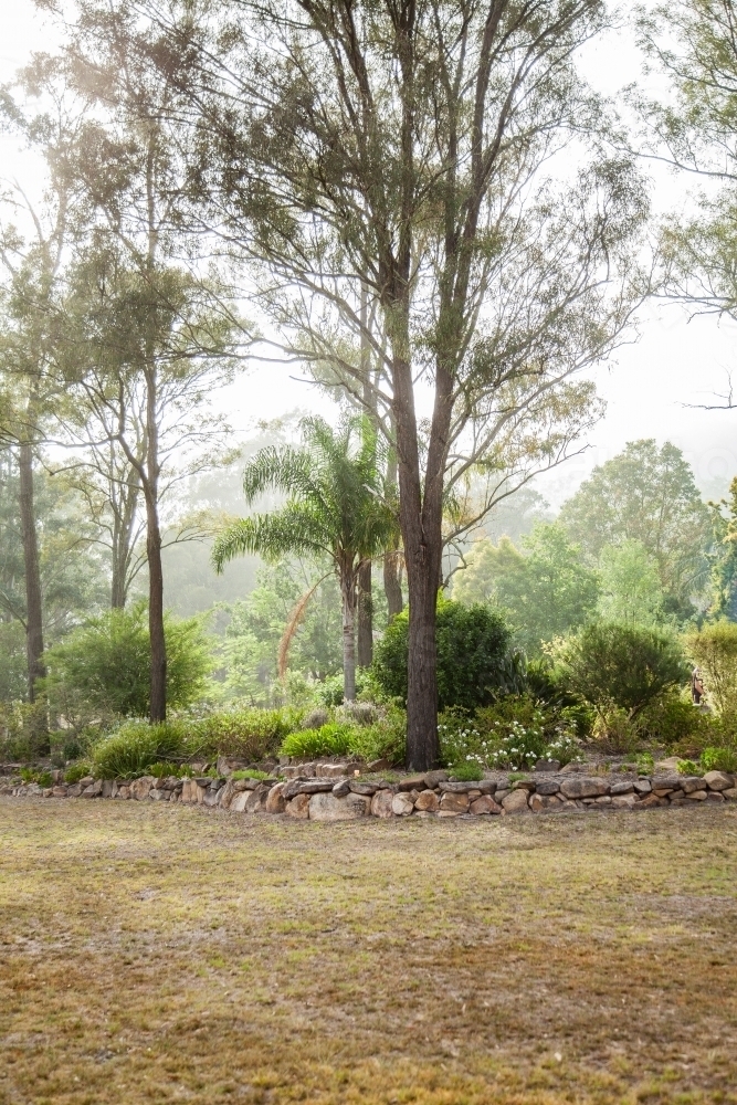 Gum trees and garden around house in the bush - Australian Stock Image