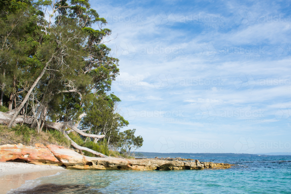 Gum trees and rocks at the ocean edge with blue sky - Australian Stock Image