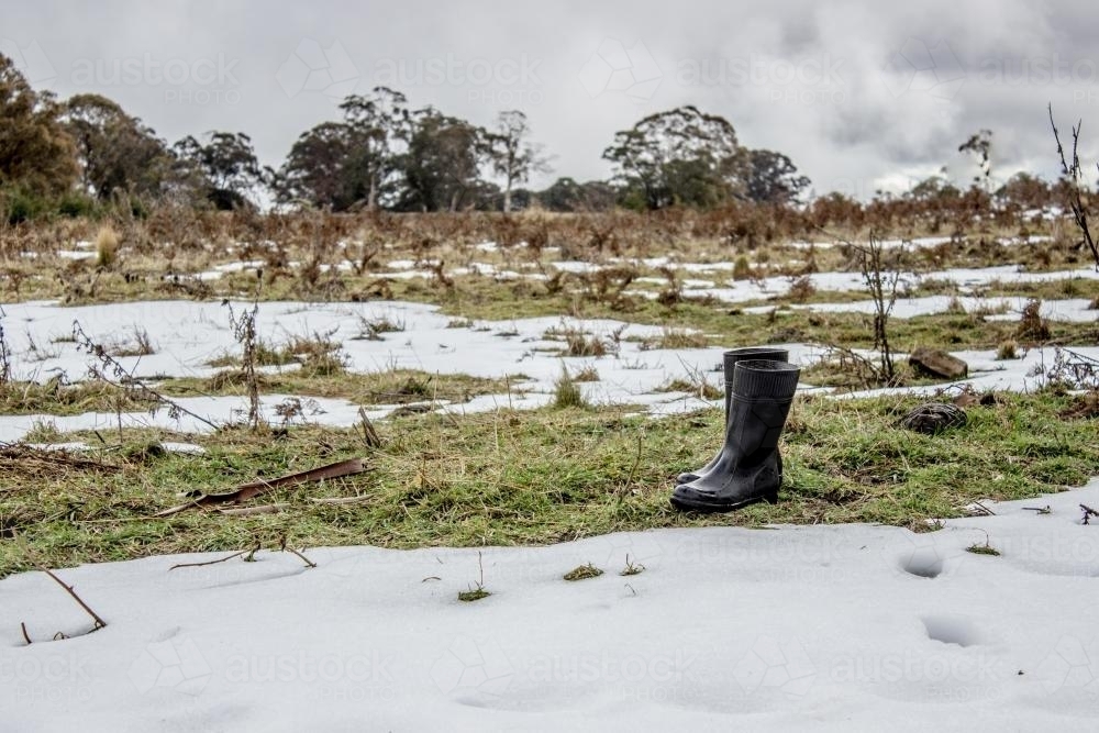 Gumboots standing in a patchy snowfall - Australian Stock Image