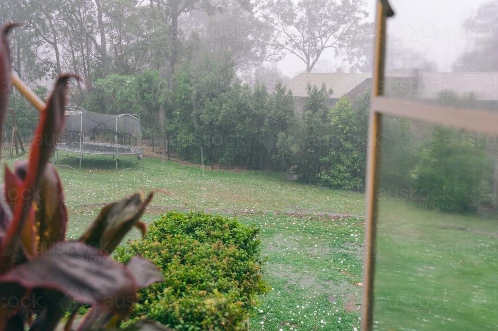 hail storm in a Brisbane backyard - Australian Stock Image