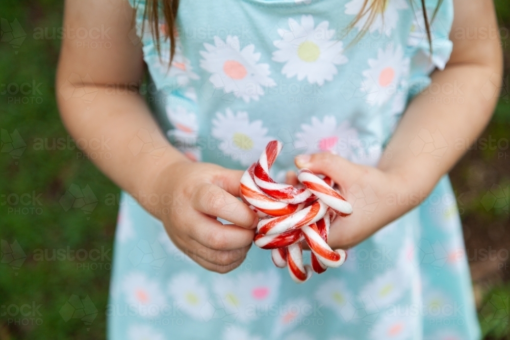 Hand full of red and white Christmas candy canes - Australian Stock Image