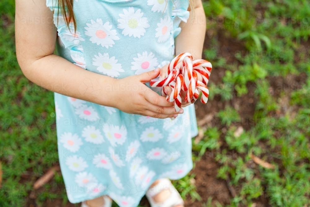 Hand full of red and white Christmas candy canes - Australian Stock Image