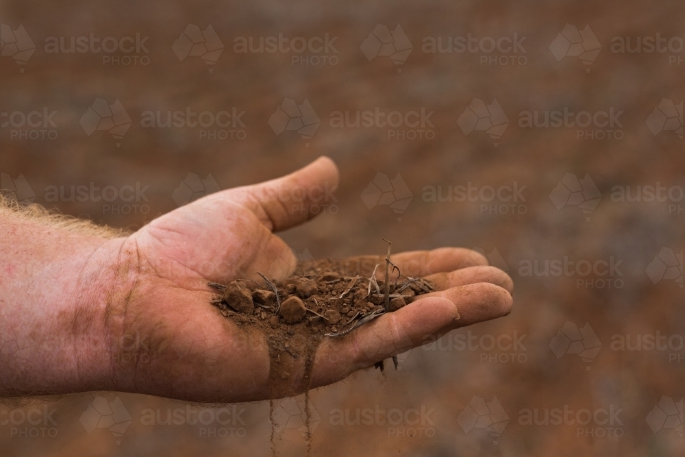 hand holding red earth - Australian Stock Image